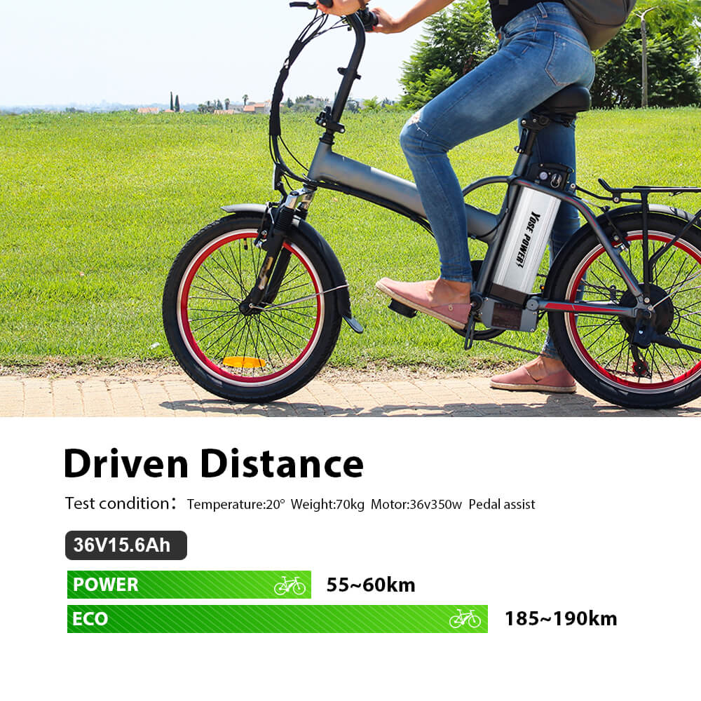 36V 15.6Ah(577Wh) SilverFish E-Bike Battery Electric Bike Li-ion Accu with USB Port for MiFa, Rex, Prophete, Aldi - Image 5